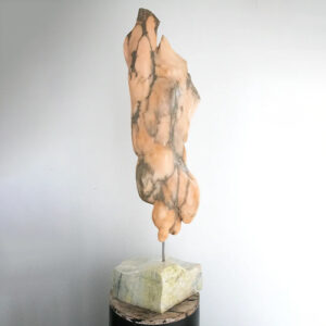 Male Torso