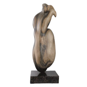 Voluptuous Figure