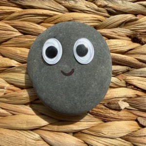 pet-rock